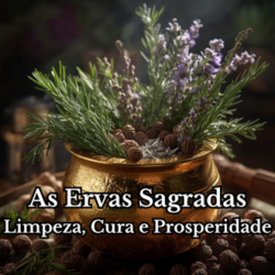 Design sem nome